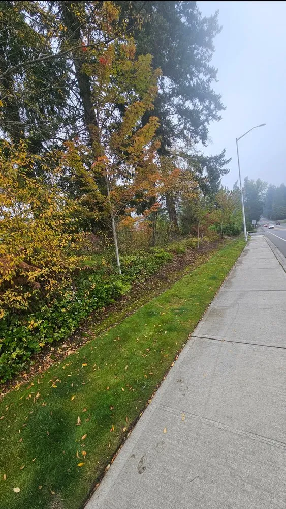 Affordable residential landscaping experts serving Bonney Lake, WA - BRC Landscaping