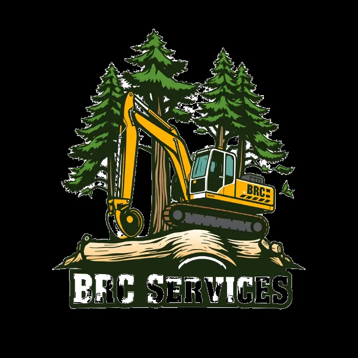 Custom residential landscaping for year-round maintenance across Easley, SC - BRC Services