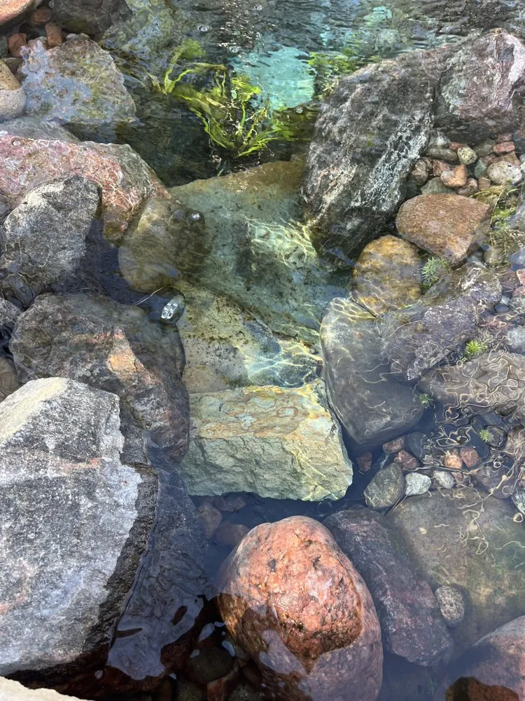 Expert landscape design in Highlands Ranch, CO by BR&D Landscape