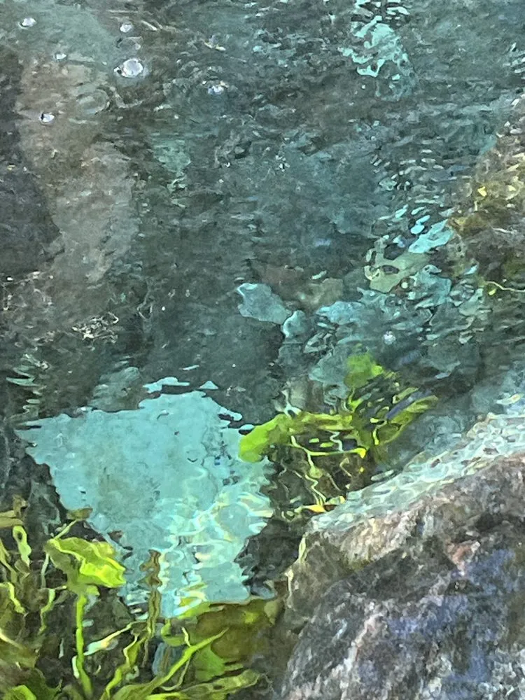 Expert lawn mowing service in Highlands Ranch, CO - BR&D Landscape