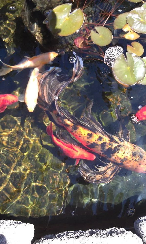 Reliable residential landscaping for beautiful yards across Highlands Ranch, CO - BR&D Landscape