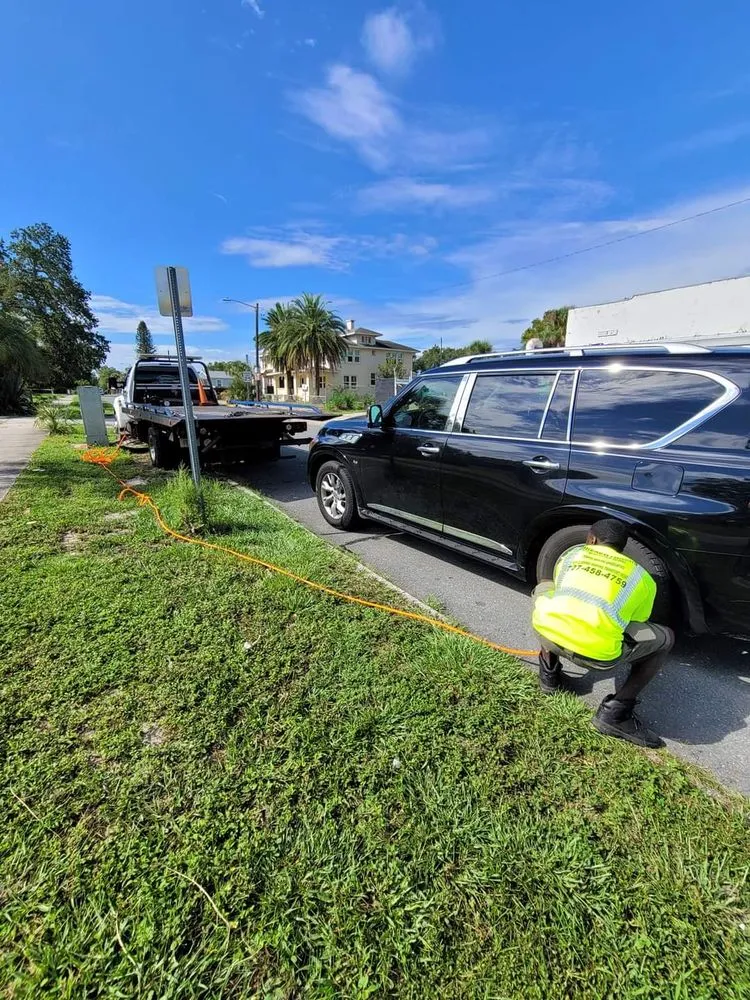Custom yard cleanup service experts serving St Petersburg, FL - Breadwynners