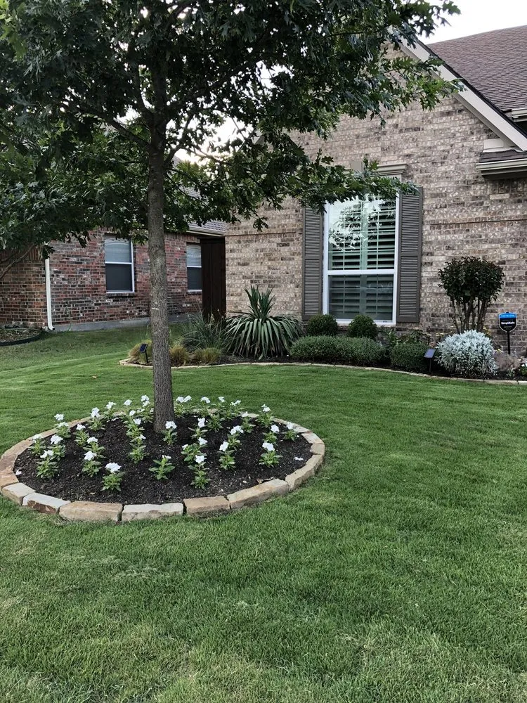 Custom yard cleanup service in Lewisville, TX by Breakaway Landscape