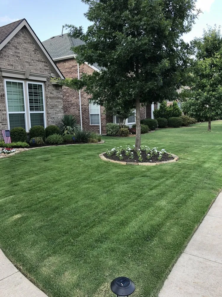 Custom yard cleanup service for year-round maintenance in Lewisville, TX by Breakaway Landscape