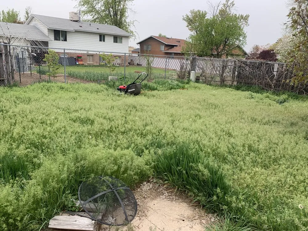 Professional yard maintenance for homes across Syracuse, UT - Breaking Good Landscaping