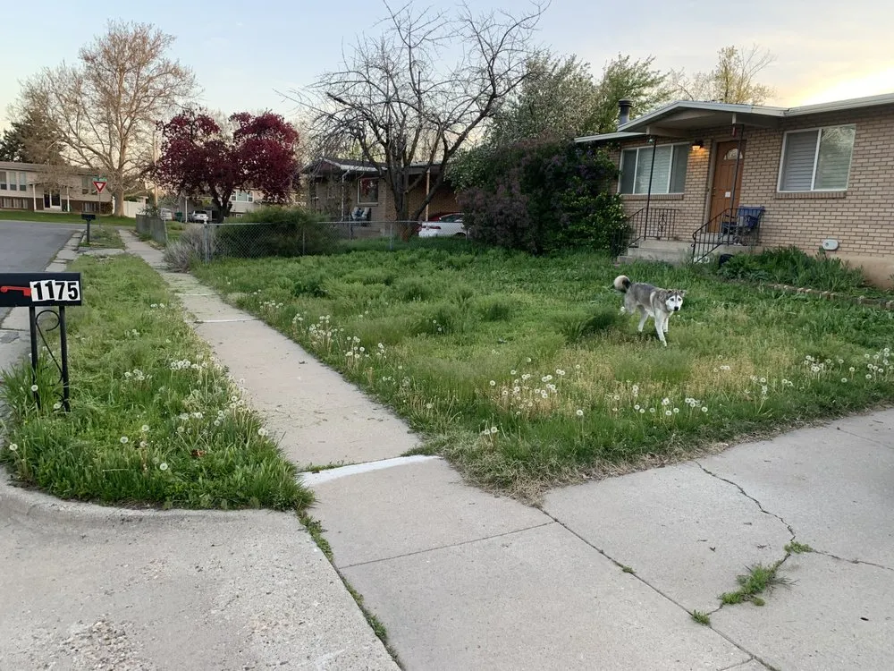 Reliable garden landscaping in Syracuse, UT - Breaking Good Landscaping