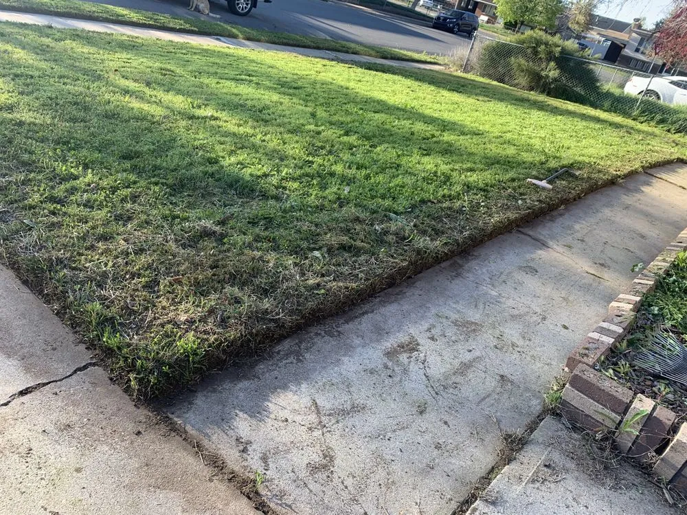 Local landscape installation in Syracuse, UT - Breaking Good Landscaping