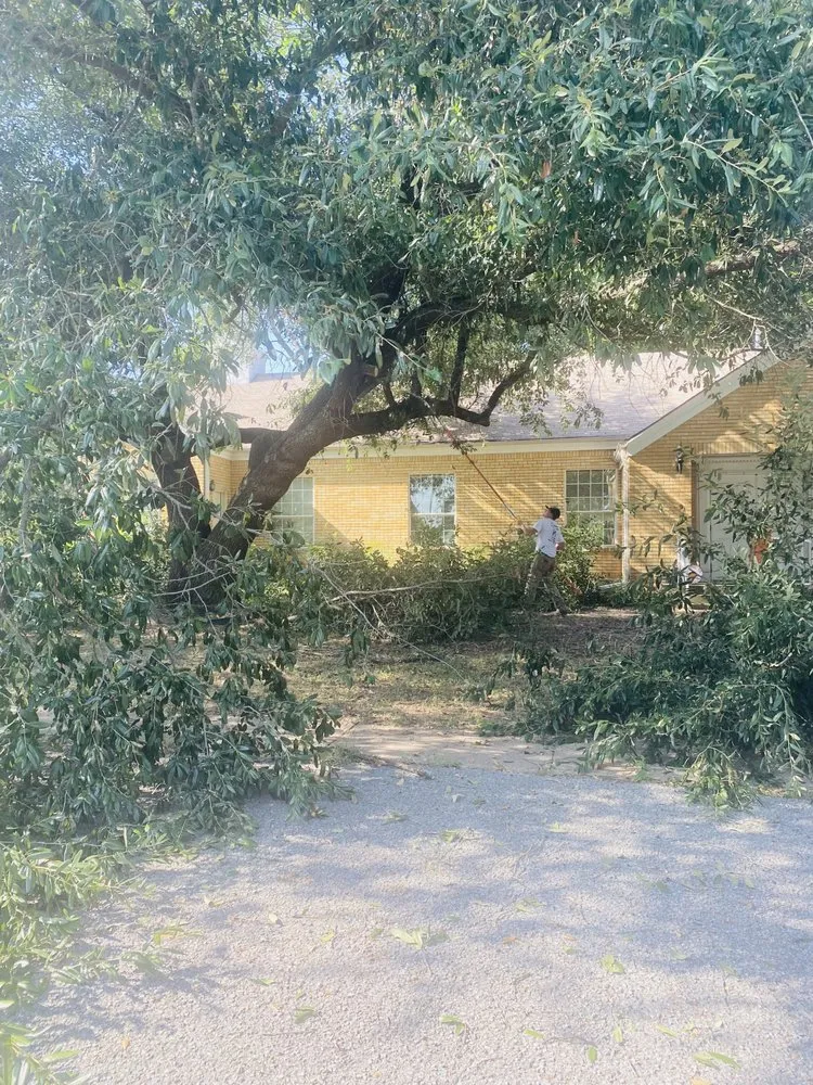 Trusted landscape design for outdoor upgrades in Chandler, TX by Breaking ground outdoor services