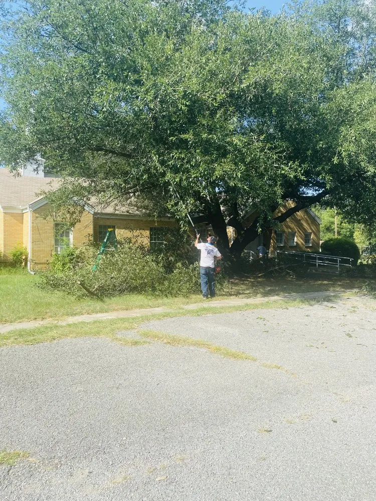 Expert yard cleanup service in Chandler, TX by Breaking ground outdoor services