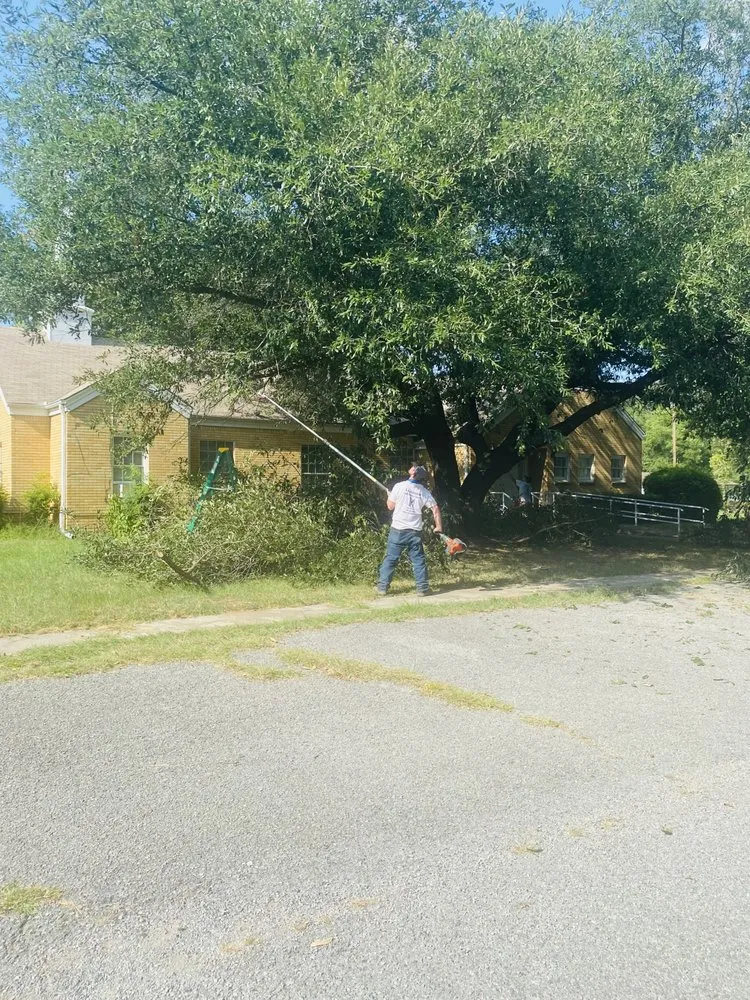 Affordable garden landscaping in Chandler, TX by Breaking ground outdoor services