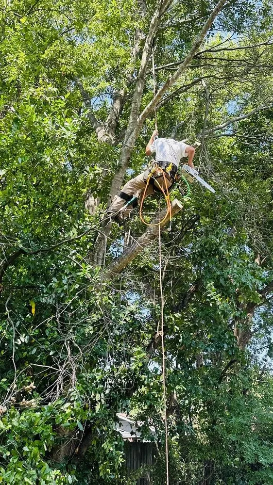 Local landscaping services for homes in Chandler, TX by Breaking ground outdoor services