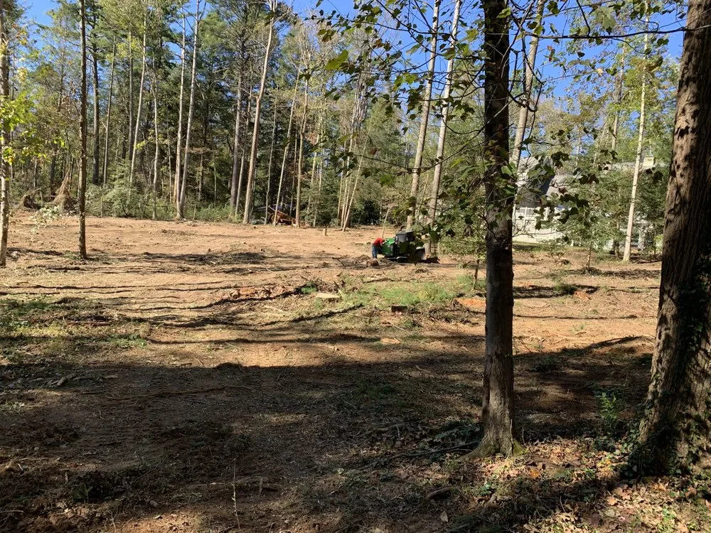 Affordable residential landscaping experts serving Montgomery, TX - Breakthrough Arbor And Landscape