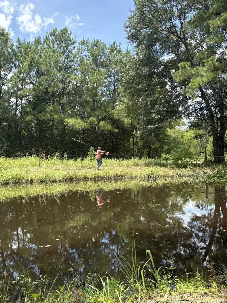 Reliable landscaping services for year-round maintenance across Montgomery, TX - Breakthrough Arbor And Landscape