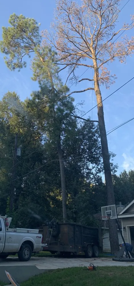 Reliable landscaping services for beautiful yards in Montgomery, TX by Breakthrough Arbor And Landscape