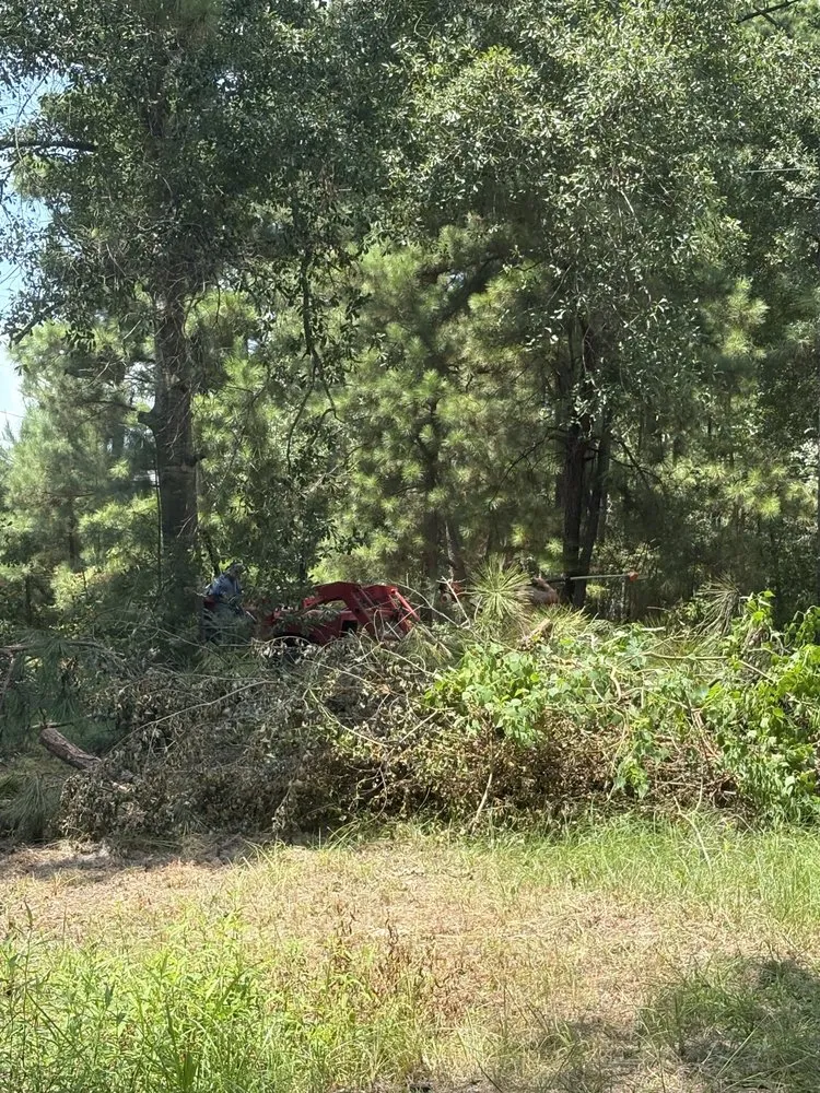Trusted landscape installation for beautiful yards across Montgomery, TX - Breakthrough Arbor And Landscape