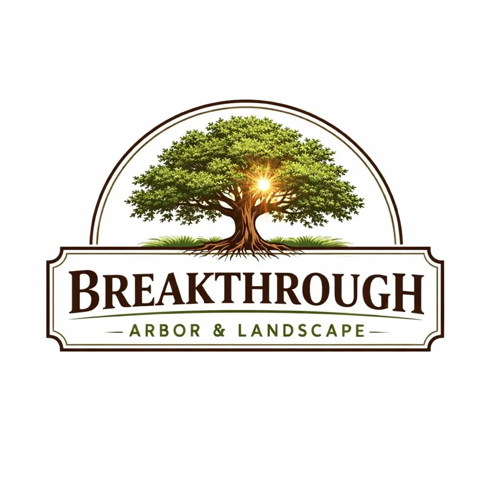 Custom yard cleanup service for homes in Montgomery, TX by Breakthrough Arbor And Landscape