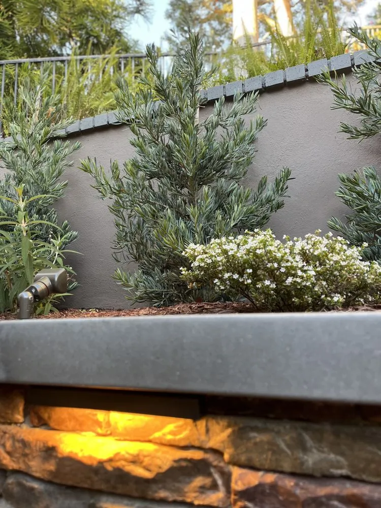 Expert lawn care service for year-round maintenance across San Juan Capistrano, CA - Breakthrough Landscape