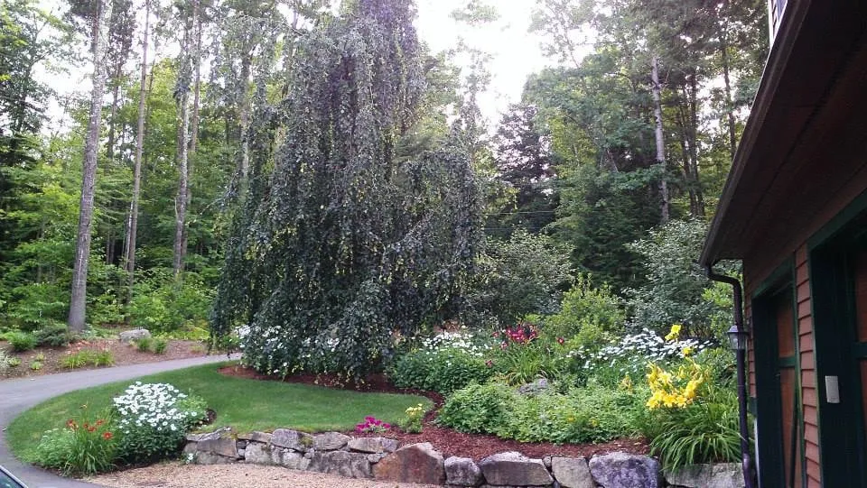 Top-rated lawn mowing service for homes in Meredith, NH by Breakthrough Property Services