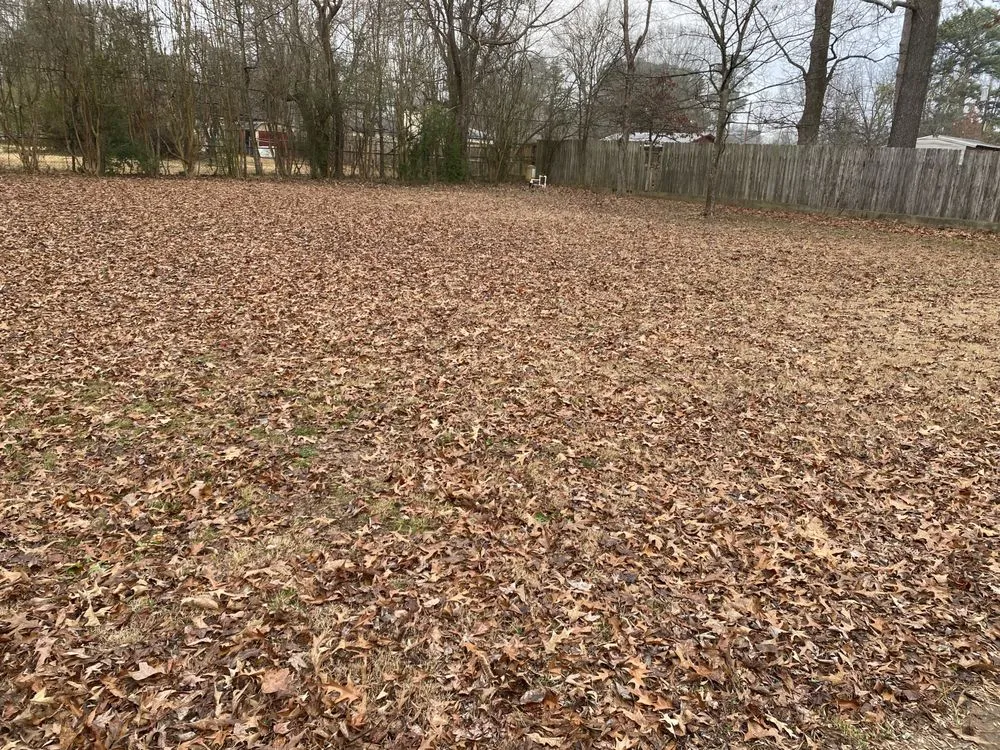 Local yard maintenance in Fouke, AR - Breathe Life