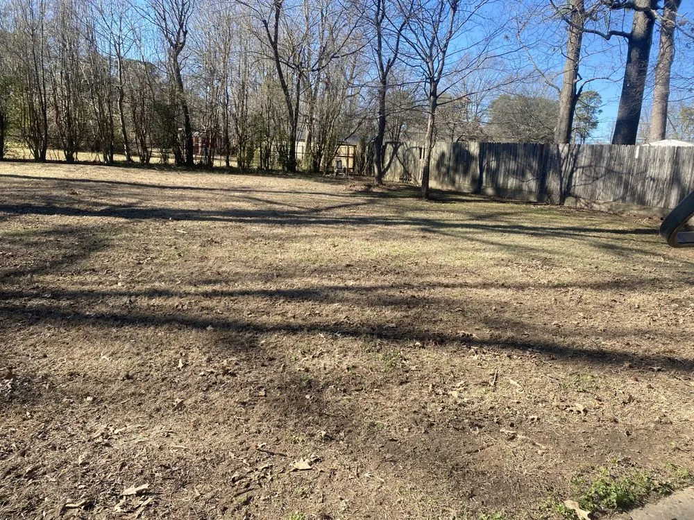Trusted lawn care service for homes in Fouke, AR by Breathe Life