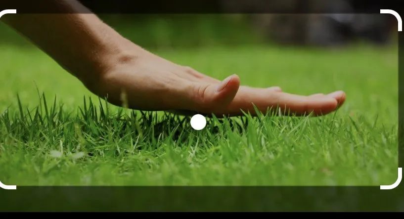 Affordable outdoor landscaping experts serving Fouke, AR - Breathe Life