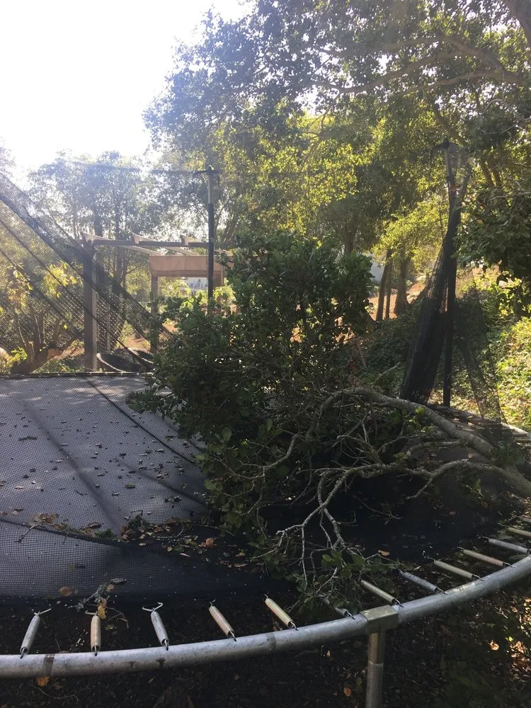 Trusted outdoor landscaping for year-round maintenance in Santa Barbara, CA by Breathtaking Landscaping