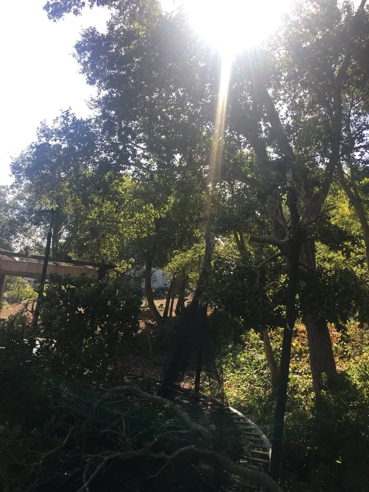 Top-rated outdoor landscaping in Santa Barbara, CA - Breathtaking Landscaping