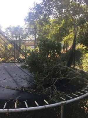 Breathtaking Landscaping Logo