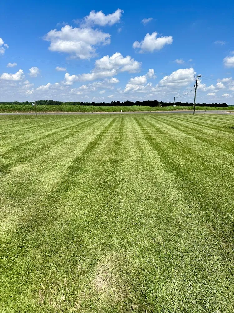 Trusted yard maintenance with custom design in Iota, LA by Breaux’s Lawn Care Services
