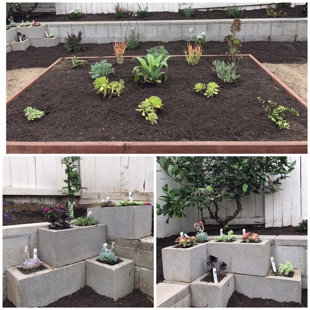 Professional yard maintenance experts serving San Diego, CA - Breceda Landscape