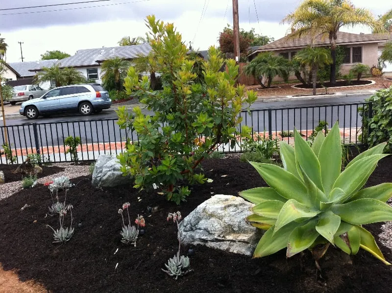 Affordable landscape design in San Diego, CA - Breceda Landscape