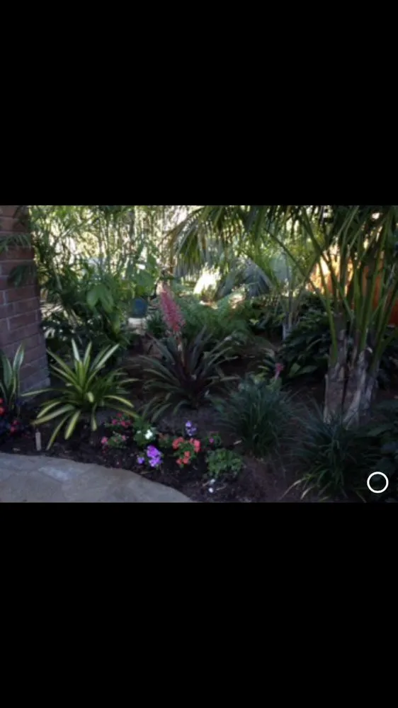 Expert outdoor landscaping in San Diego, CA by Breceda Landscape