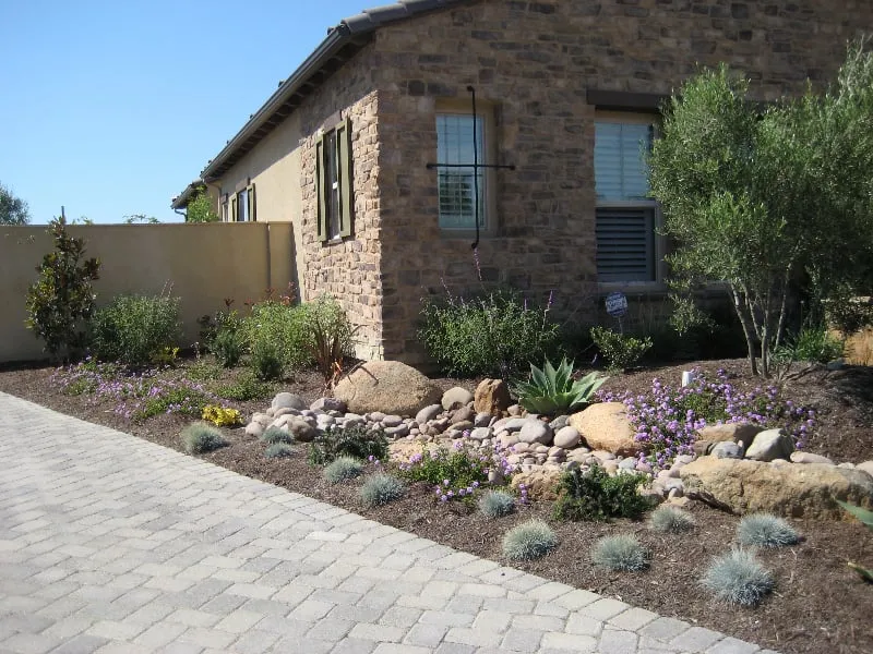 Local landscape design in San Diego, CA - Breceda Landscape