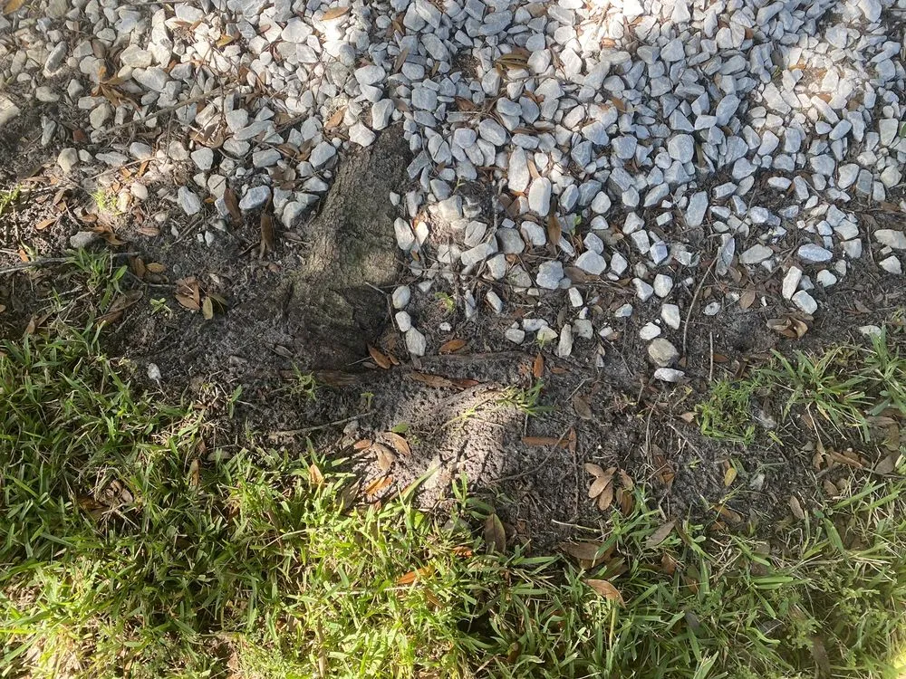 Affordable landscape design for beautiful yards in Deltona, FL by Brecht Landscaping