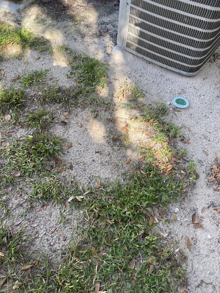 Local lawn mowing service near you across Deltona, FL - Brecht Landscaping