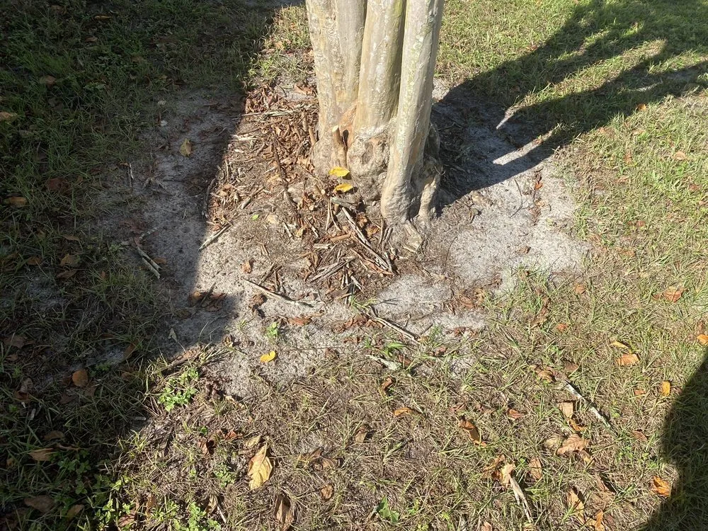 Professional outdoor landscaping experts serving Deltona, FL - Brecht Landscaping