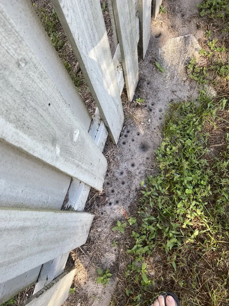 Local residential landscaping near you in Deltona, FL by Brecht Landscaping