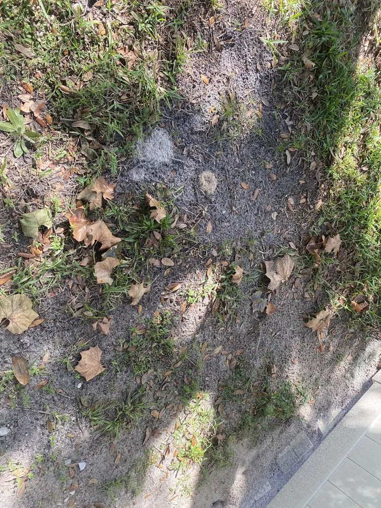 Professional yard maintenance for homes in Deltona, FL by Brecht Landscaping