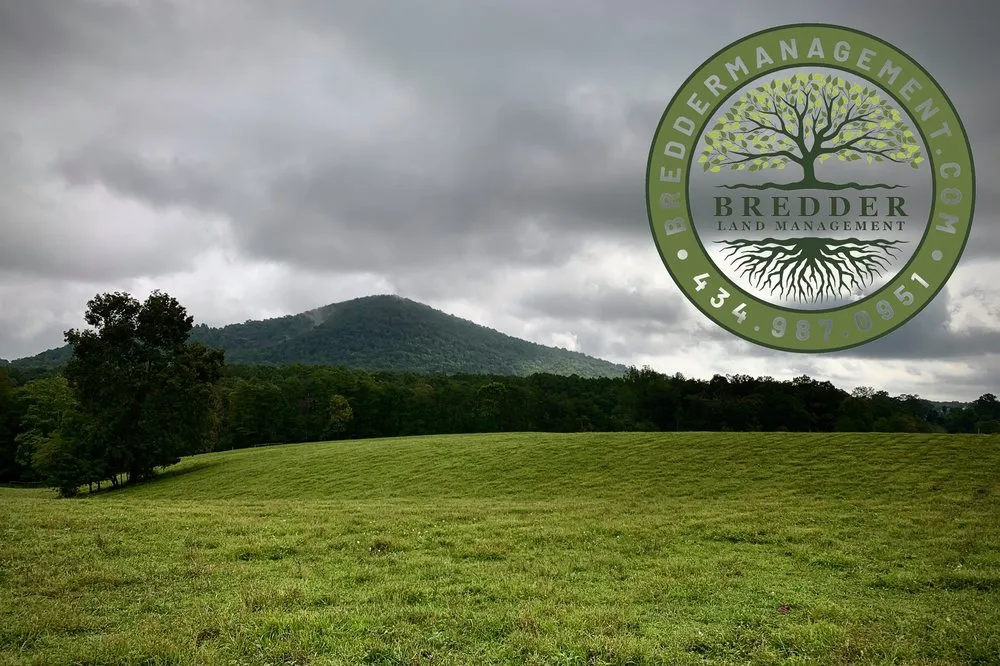 Local landscape installation in Free Union, VA by Bredder Land Management