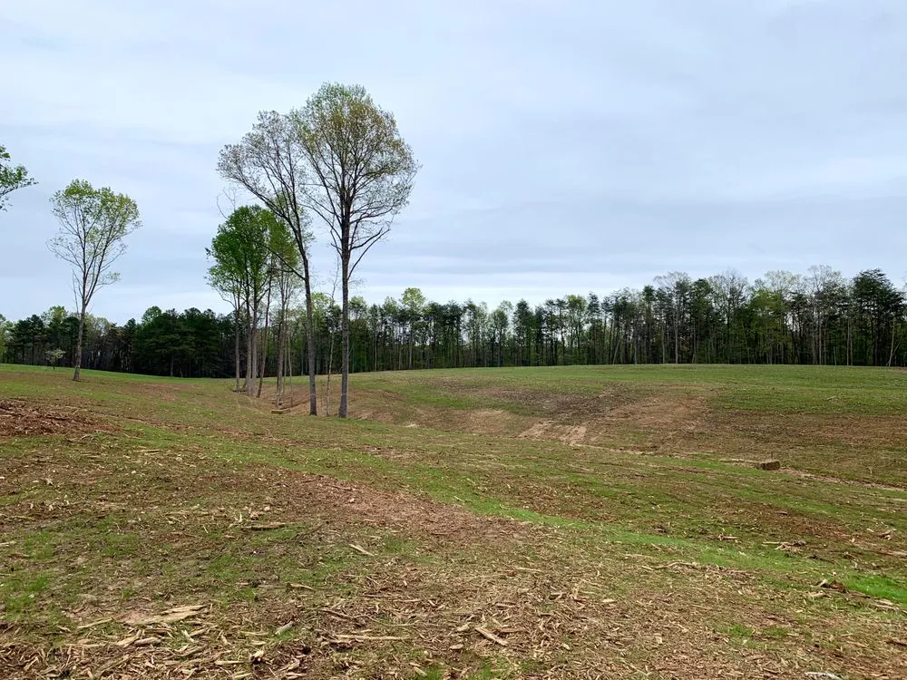 Top-rated outdoor landscaping for beautiful yards across Free Union, VA - Bredder Land Management