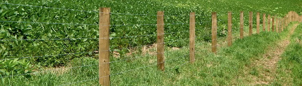 Reliable landscape installation in Fredericksburg, VA - Breedens lawn and landscaping