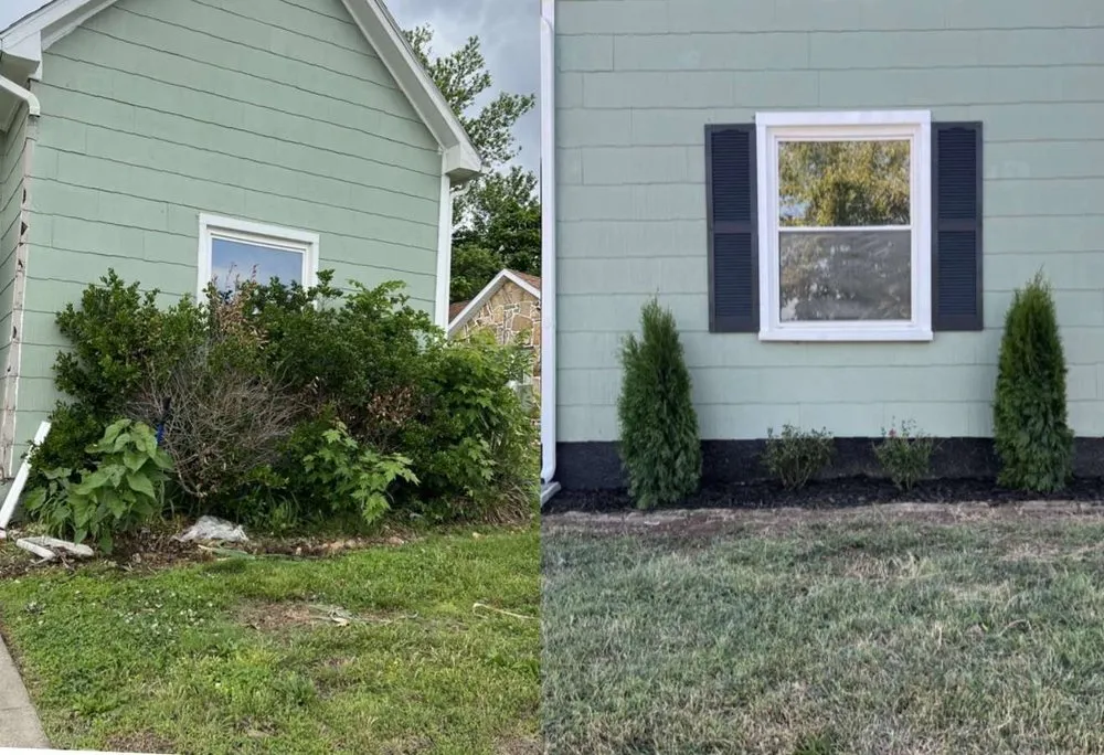 Expert lawn care service in Joplin, MO - Breedlove Lawn Care