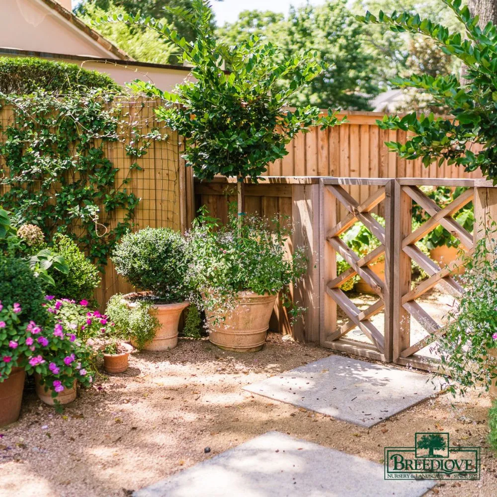 Affordable residential landscaping for beautiful yards in Tyler, TX by Breedlove Nursery & Landscape