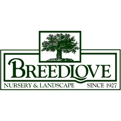 Custom yard cleanup service in Tyler, TX by Breedlove Nursery & Landscape