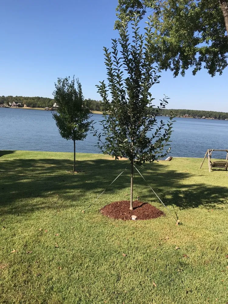 Trusted outdoor landscaping for outdoor upgrades across Tyler, TX - Breedlove Nursery & Landscape