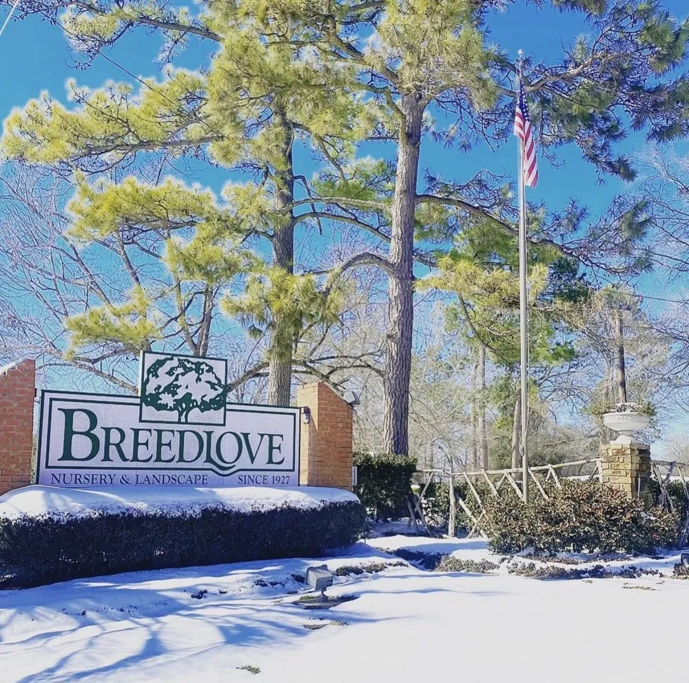 Trusted residential landscaping experts serving Tyler, TX - Breedlove Nursery & Landscape