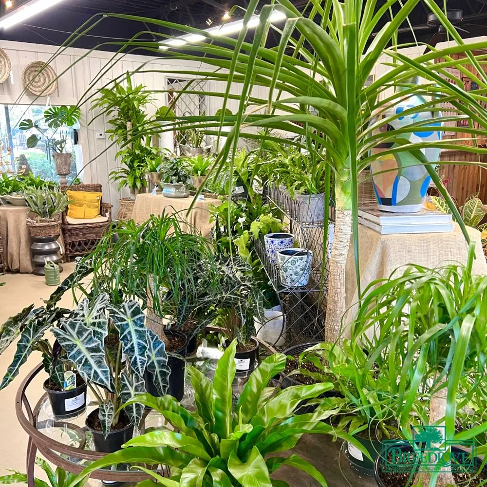 Professional landscaping services in Tyler, TX by Breedlove Nursery & Landscape