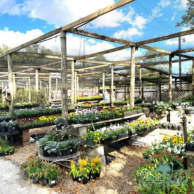 Breedlove Nursery & Landscape
