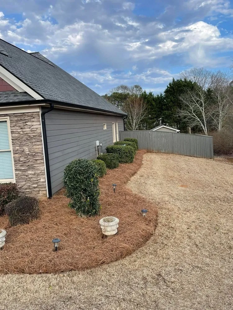 Local yard cleanup service experts serving Gainesville, GA - Breedlove's Lawncare