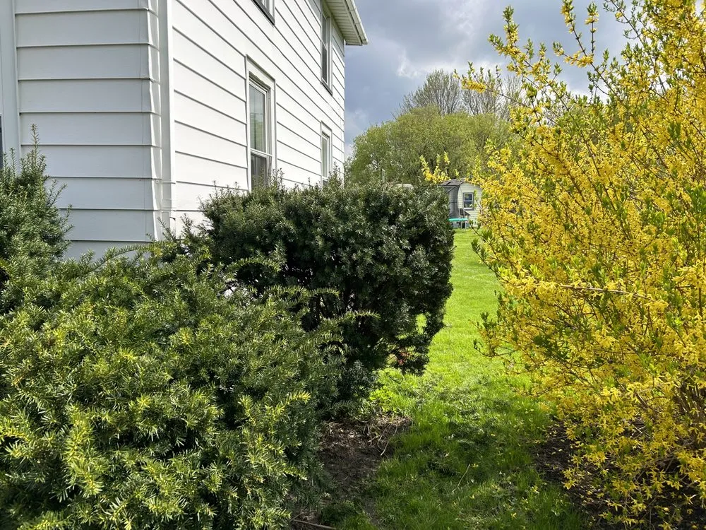 Expert landscape design experts serving Penn Yan, NY - Breeds Handyman